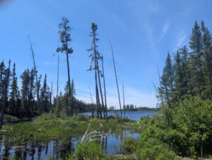 PXL_20250621_160715177