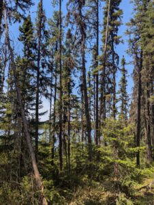 PXL_20250621_172431978